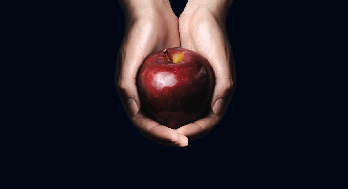 مسلسل العشق الممنوع